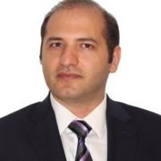 Sayed M. Bateni